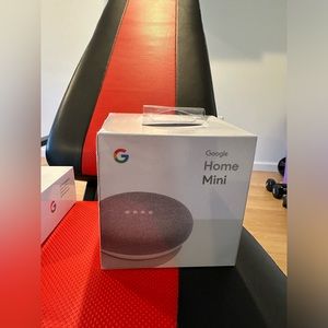 Google home mini